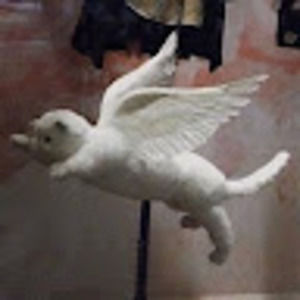 Meet your Posher, Aimee